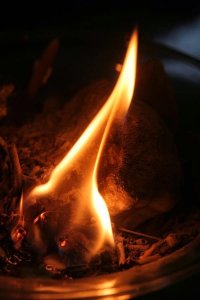 557401_272576606176547_1566951204_n