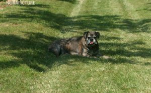 942969_4528011138941_573453986_n