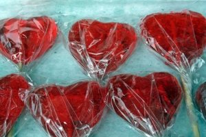 10173629_559034220864116_7170569606020349712_n