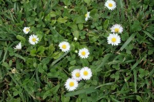 10382160_503082673125938_111192398697717476_n