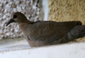 601154_2874678086648_1362731583_n