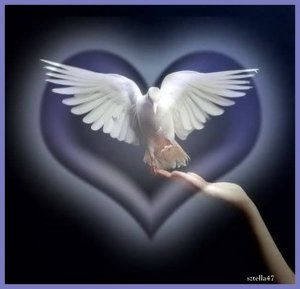 feher_galamb_978573_95253