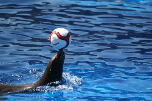 184407_313259675441573_1864855018_n